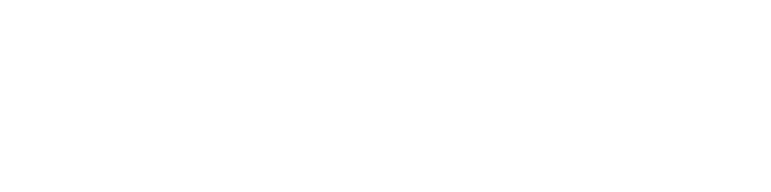 W BRIDGE GLOBAL